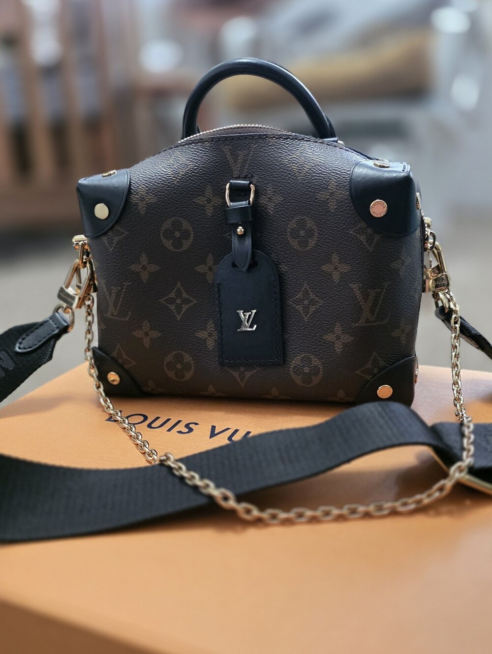 LV Petite Malle Souple bag